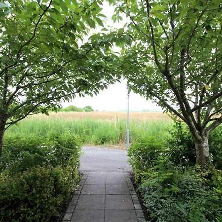 Vakantiehuis Strandvogt 3 Nt3 *